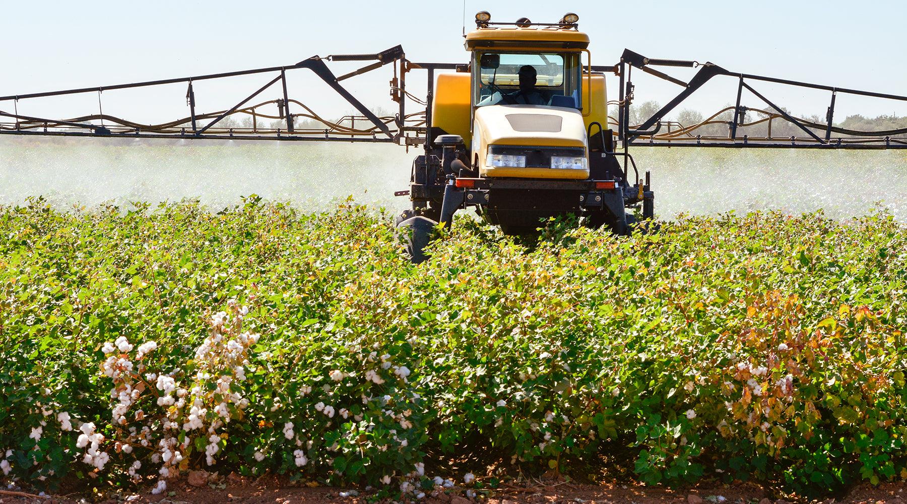 Cotton is a joy to farm. In some ways it's even easier than grain